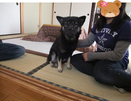 お姉さんワンコ