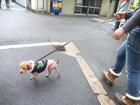 初めてだ!