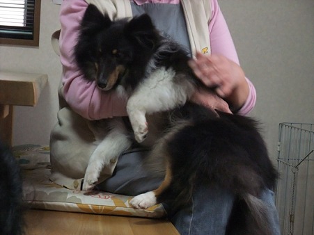 満月はママに抱っこされ