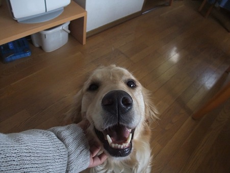 うん、明るくていいお顔♪