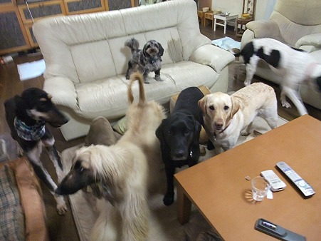 これで全員入ったか?
