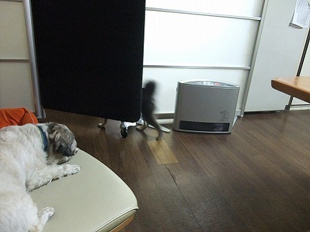 ストーカー中