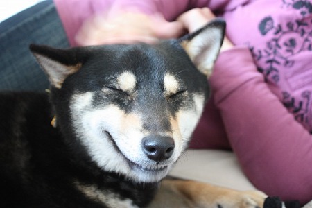 眠い。。。