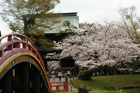 称名寺の桜!(110410)
