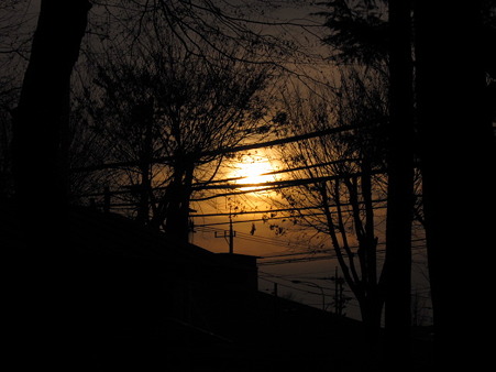 夕日・2