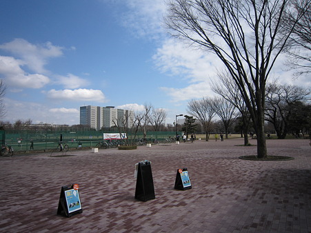 武蔵野中央公園