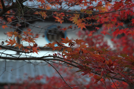 円通寺 - 08