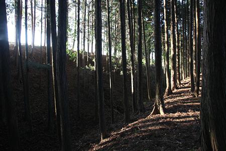 山中城 - 036