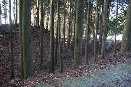 山中城 - 038