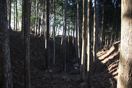 山中城 - 039