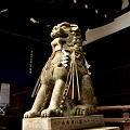 Photos: 比売許曾神社社殿の狛犬阿形