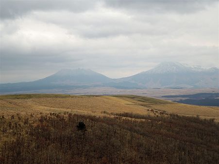 DSCN0579