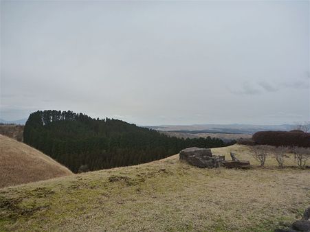 DSCN0616