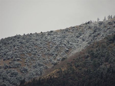 DSCN0630