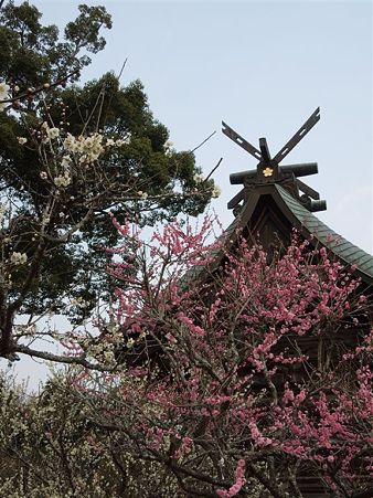DSCN0895
