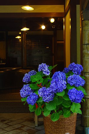 IMGP1328
