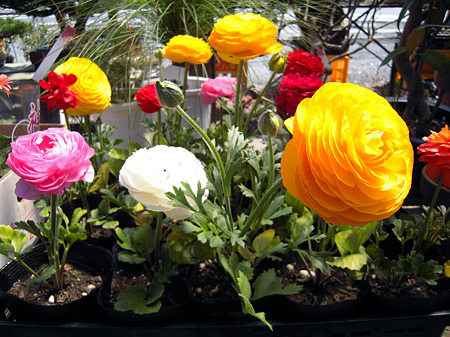 DSCN2348_edited