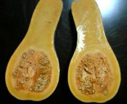 ベトナム南瓜? 瓢箪南瓜?