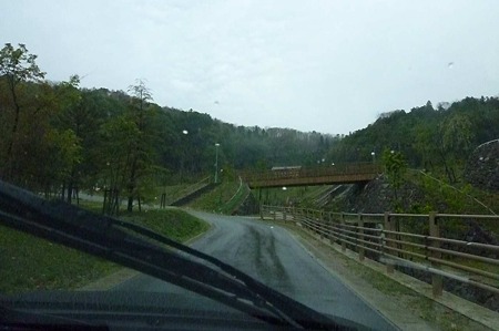 1104271523_P1750293