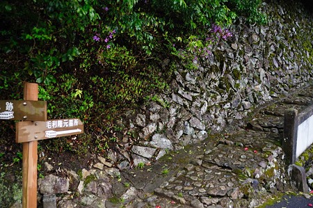 1104271530_DSC_0210