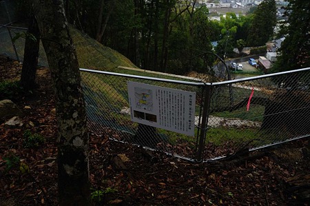 1104271639_DSC_0429
