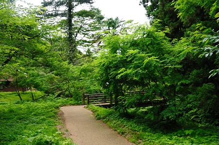 1106221509_DSC_1450