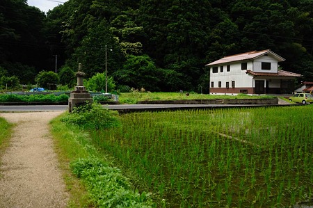 1106221548_DSC_1545