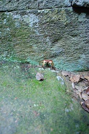 1106231659_DSC_2564