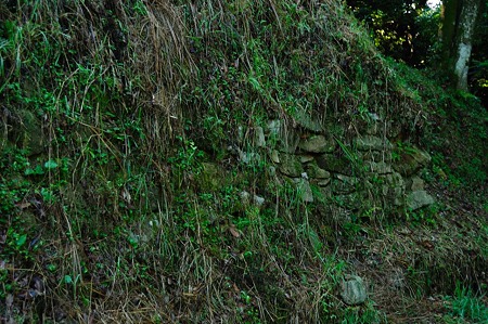1107120719_DSC_5369