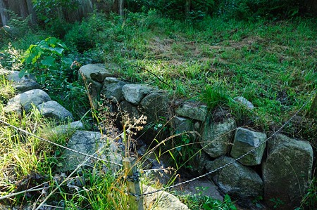 1107120749_DSC_5504
