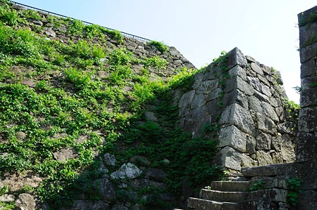 1107121545_DSC_5689