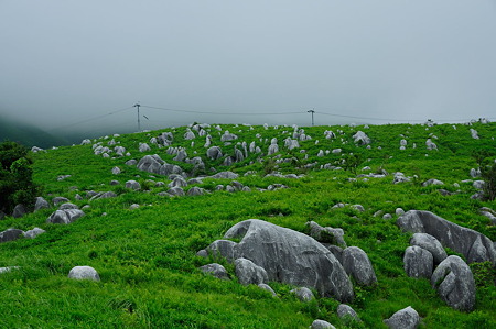 1107131430_DSC_5971