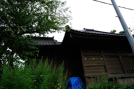 1108131615_DSC_4898