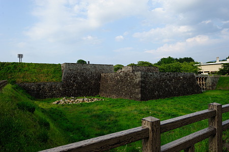 1108151641_DSC_6718