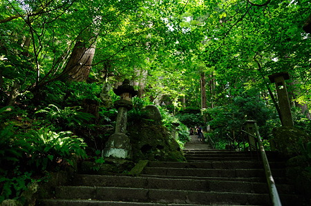 1108160911_DSC_7031