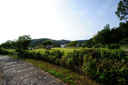 1108161527_DSC_7675