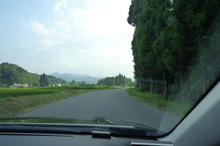 1108161649_P1800287
