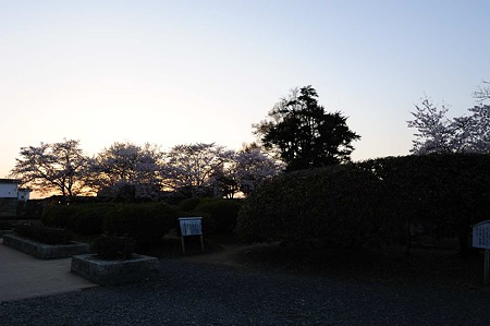 1104121828_DSC_9558