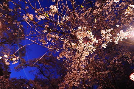 1104121901_DSC_9639