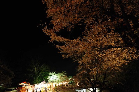 1104121942_DSC_9783