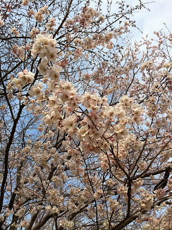 写真 2
