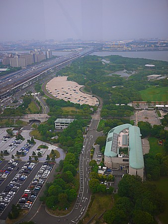 公園散策