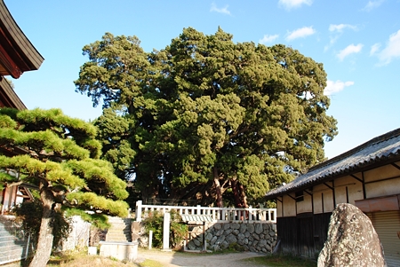 houjouinnosinpaku2