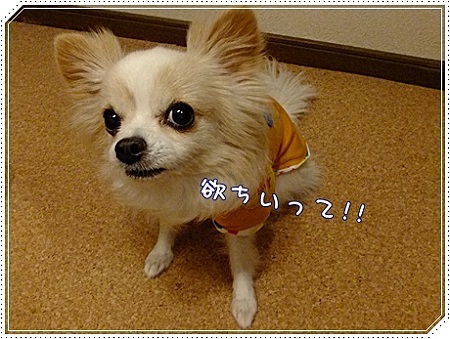欲しい