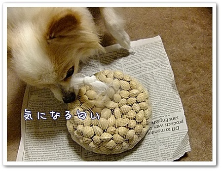 気になるね