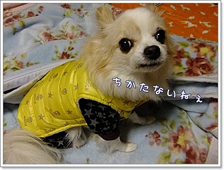 仕方ない
