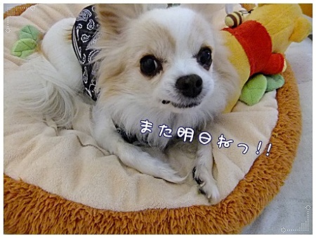 また明日