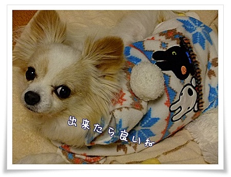 出来たら……