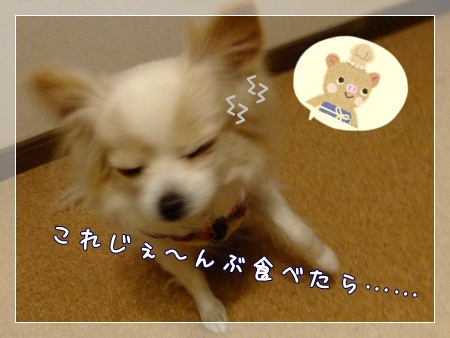 恐いね