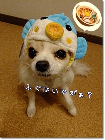 ふぐ